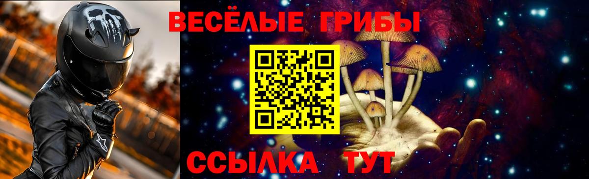 Псилоцибиновые грибы GOLDEN TEACHER  цена наркотик  Михайловка  Вход с VPN 